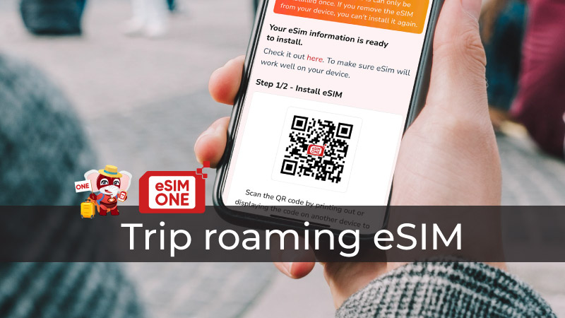 Trip roaming esim travel global