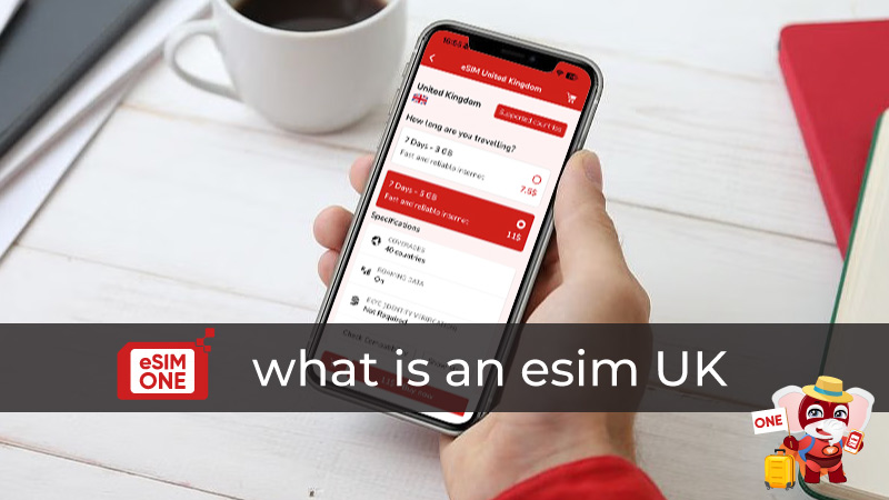 what is an esim uk in the world