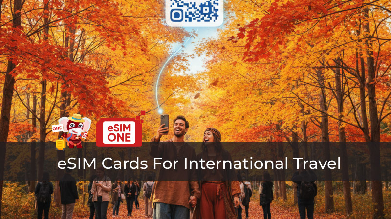  eSIM Cards For International Travel Complete Guide 2025