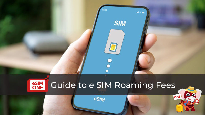 guide to e sim roaming fees 2