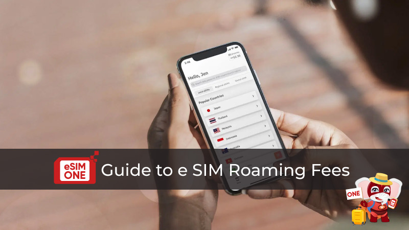 guide to e sim roaming fees 3
