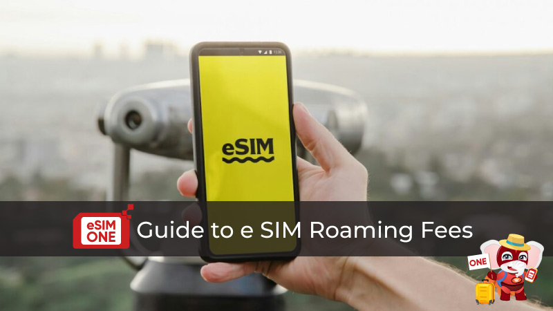 guide to e sim roaming fees 2025