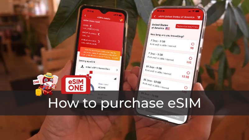 how to purchase esim in the world