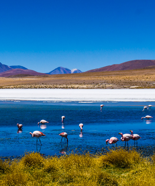 Bolivia