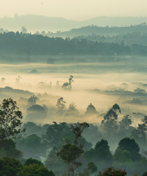 Cameroon