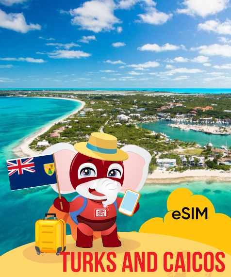 Turks and Caicos Islands (the)