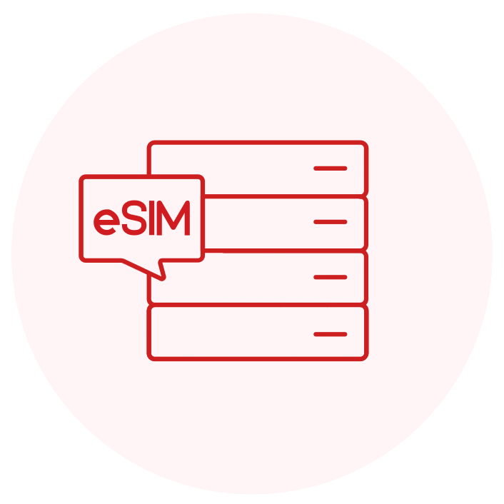 eSIM Data Packages